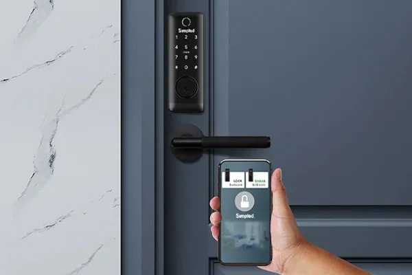 remote door lock system