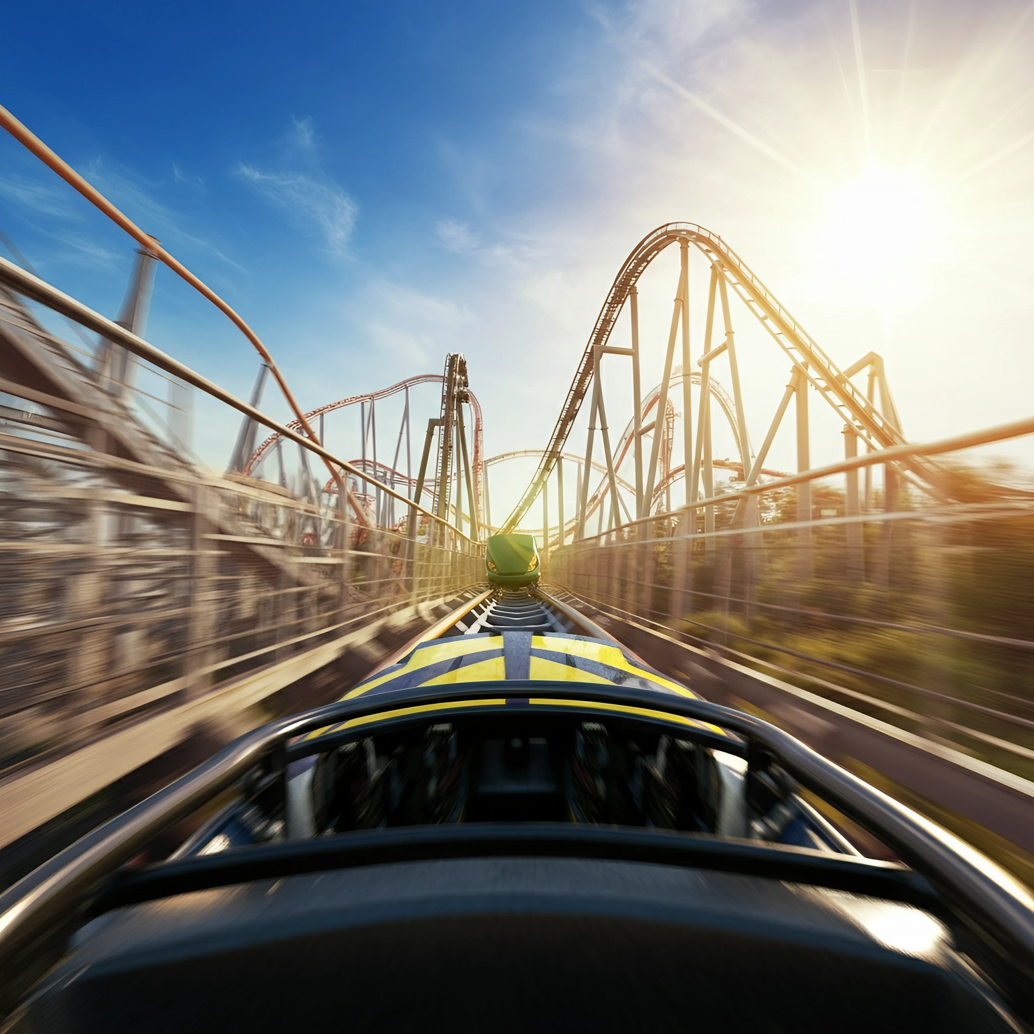 roller coaster pov