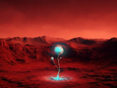 mars life evidence