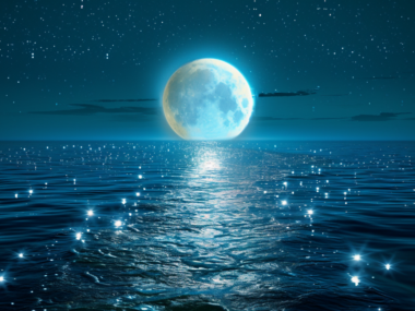 moon ai