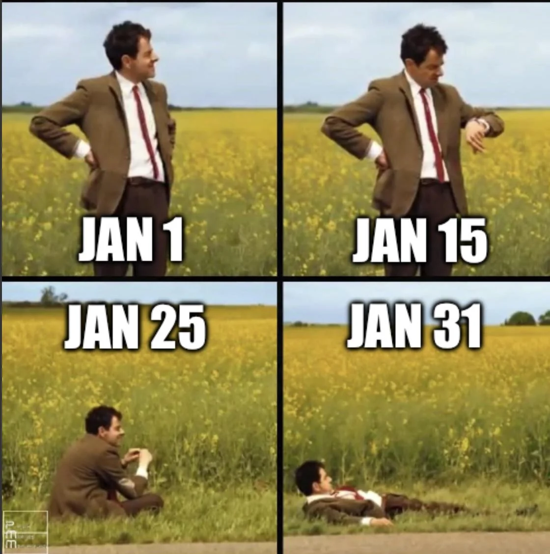 long january memes