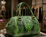 Dinosaur Purse? Scientists Aren’t Buying This T. Rex Leather Claim
