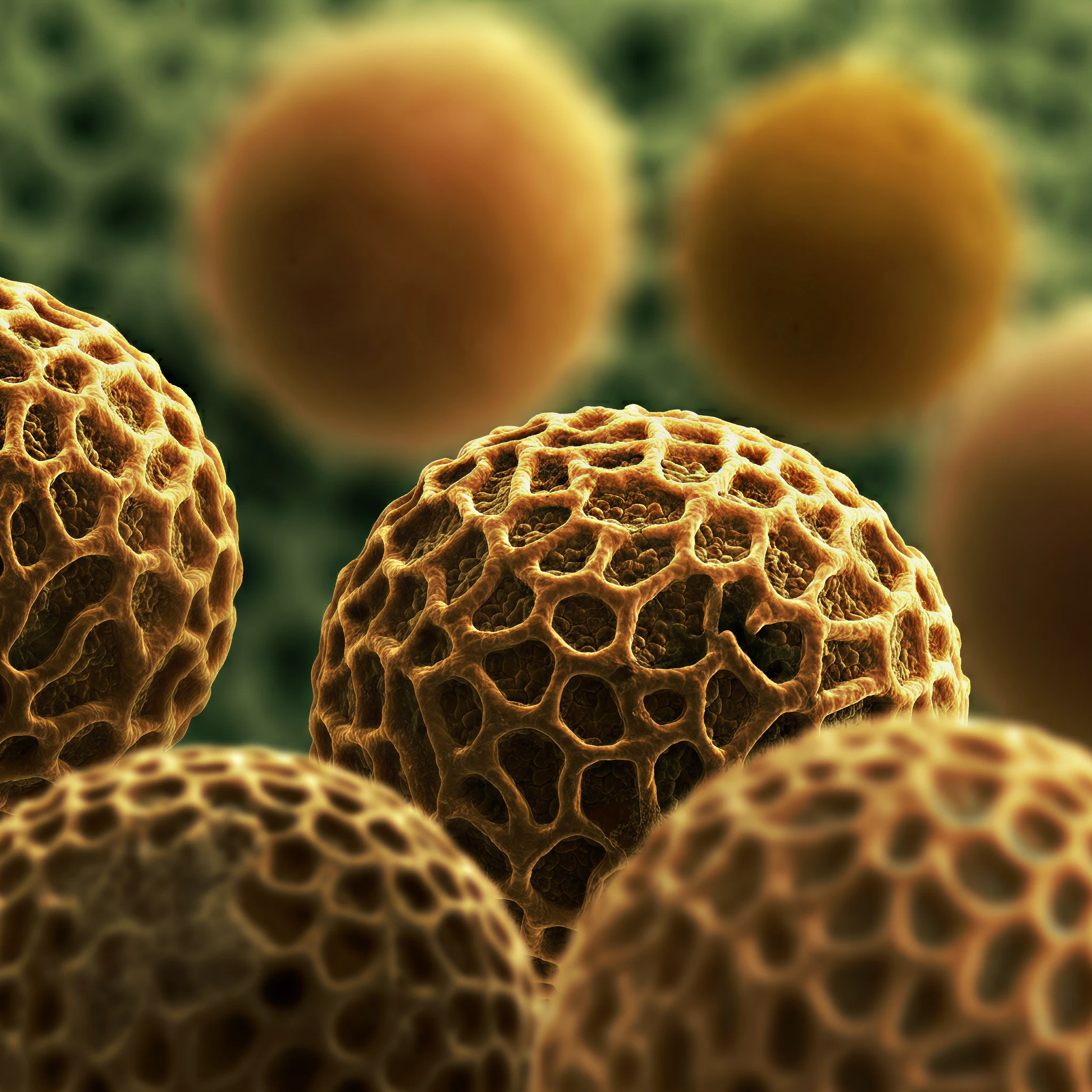 What ancient pollen reveals about Earth’s history